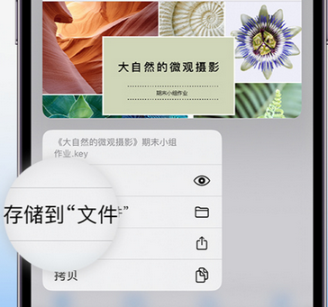 宏伟apple维修中心分享iPhone文件应用中存储和找到下载文件