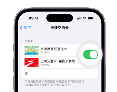 宏伟apple维修点分享iPhone上更换Apple Pay快捷交通卡手绘卡面 