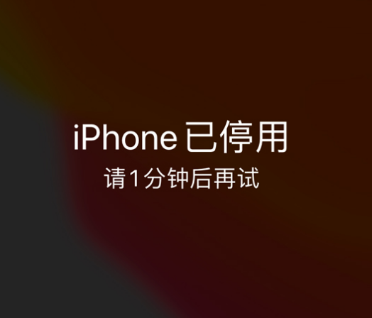 宏伟苹果手机维修分享:iPhone 显示“不可用”或“已停用”怎么办？还能保留数据吗？ 