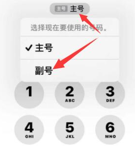 宏伟苹果14维修店分享iPhone 14 Pro Max使用副卡打电话的方法 