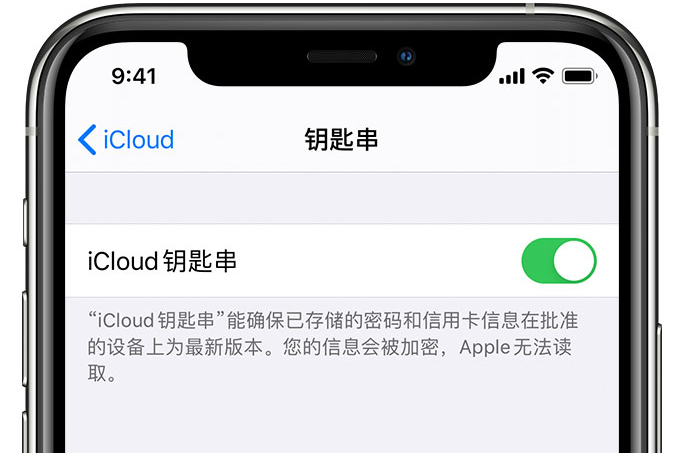 宏伟苹果手机维修分享在 iPhone 上开启 iCloud 钥匙串之后会储存哪些信息 