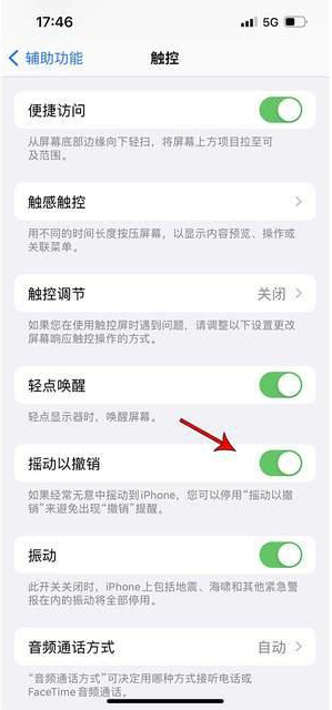 宏伟苹果手机维修分享iPhone手机如何设置摇一摇删除文字 